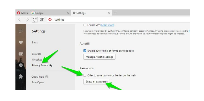 Opera Privacy & security section settings
